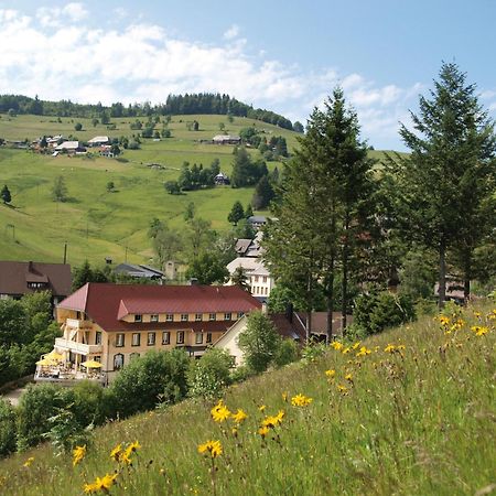 Gruener Baum Naturparkhotel & Schwarzwald-Restaurant Todtnau Eksteriør bilde