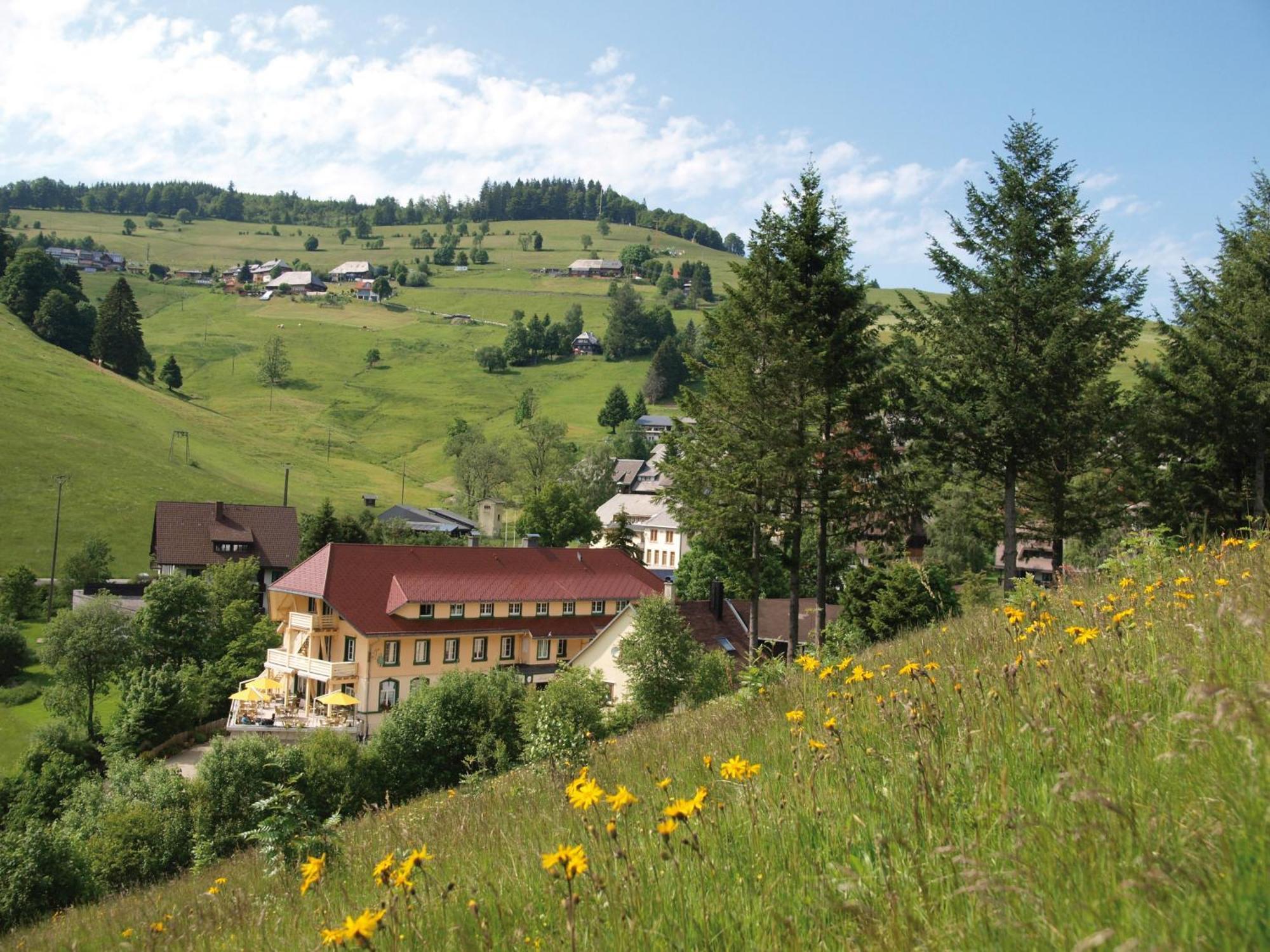 Gruener Baum Naturparkhotel & Schwarzwald-Restaurant Todtnau Eksteriør bilde