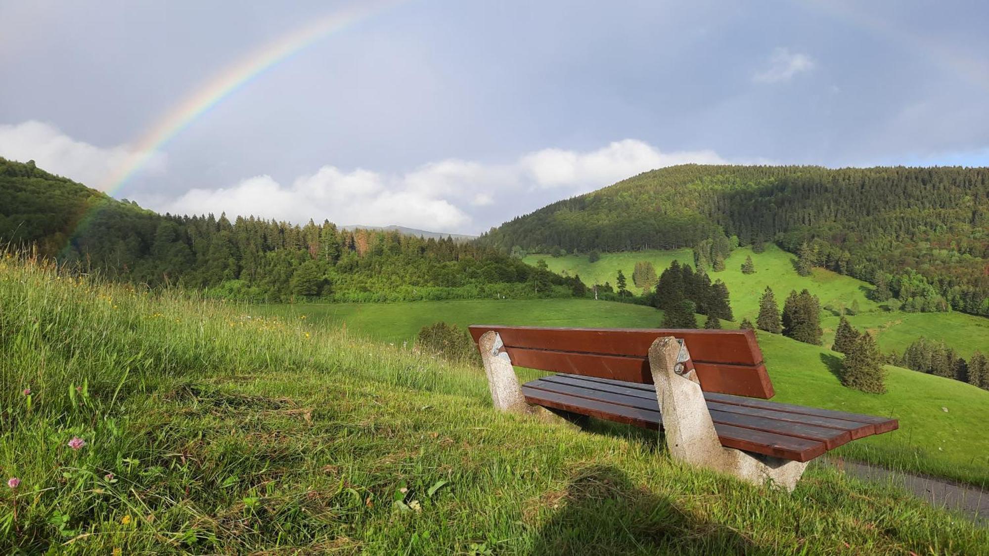 Gruener Baum Naturparkhotel & Schwarzwald-Restaurant Todtnau Eksteriør bilde