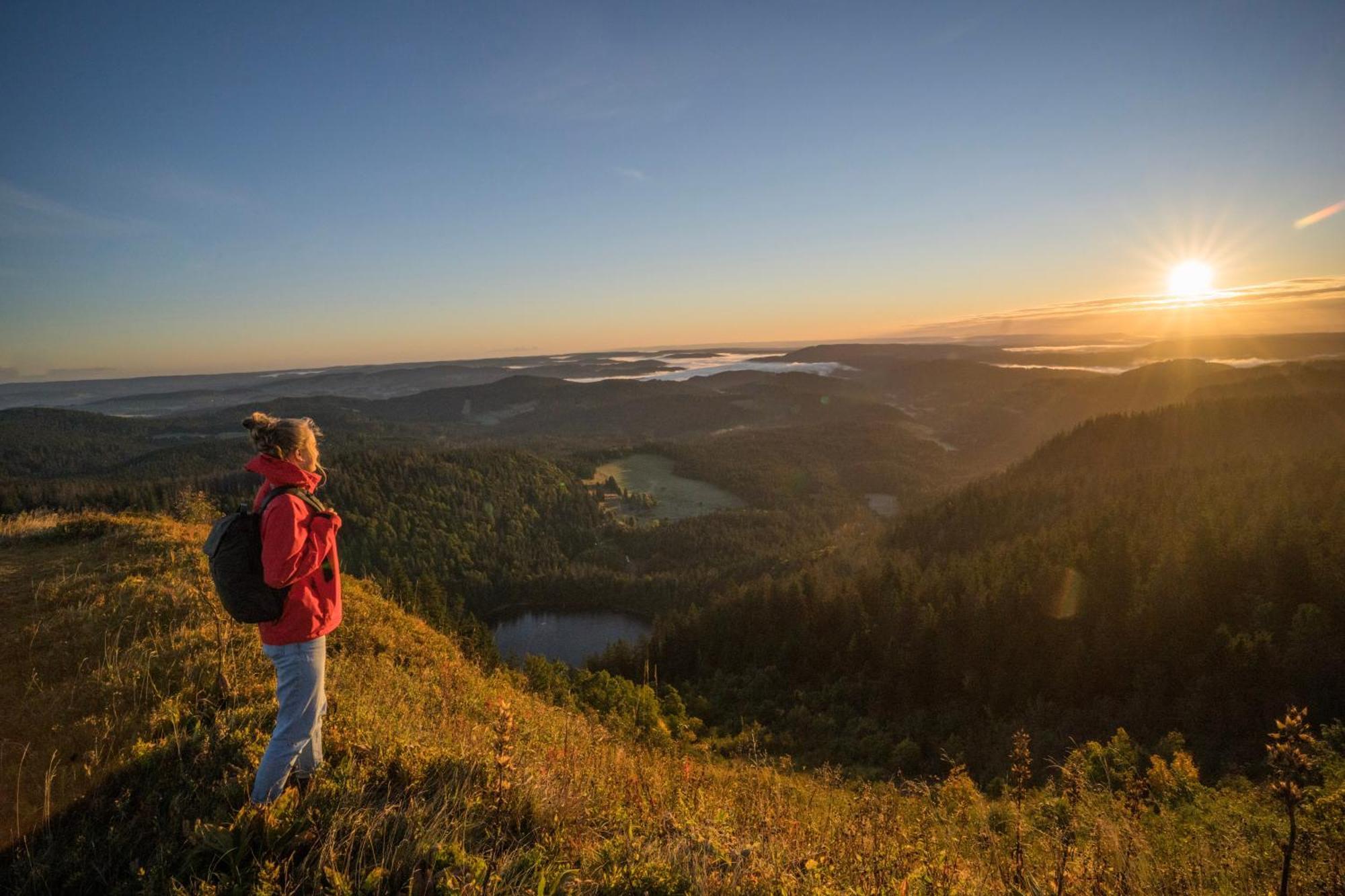 Gruener Baum Naturparkhotel & Schwarzwald-Restaurant Todtnau Eksteriør bilde