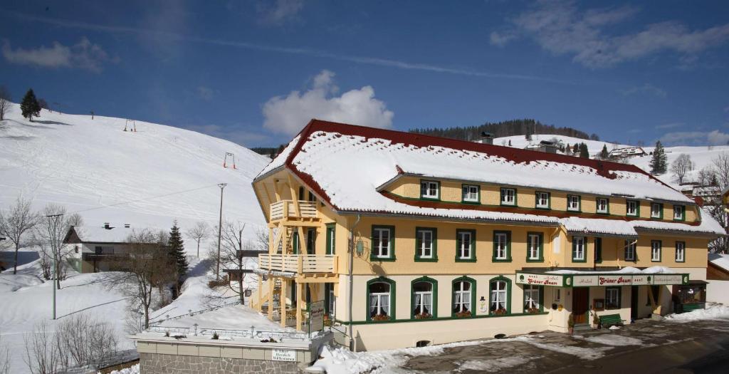 Gruener Baum Naturparkhotel & Schwarzwald-Restaurant Todtnau Eksteriør bilde