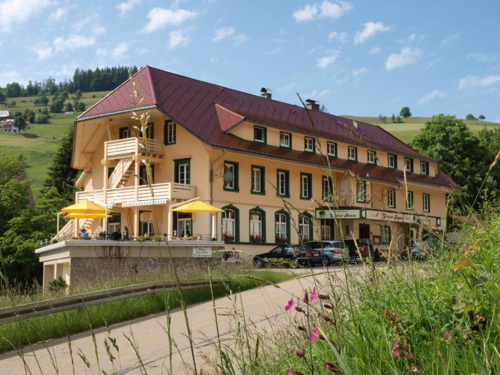 Gruener Baum Naturparkhotel & Schwarzwald-Restaurant Todtnau Eksteriør bilde