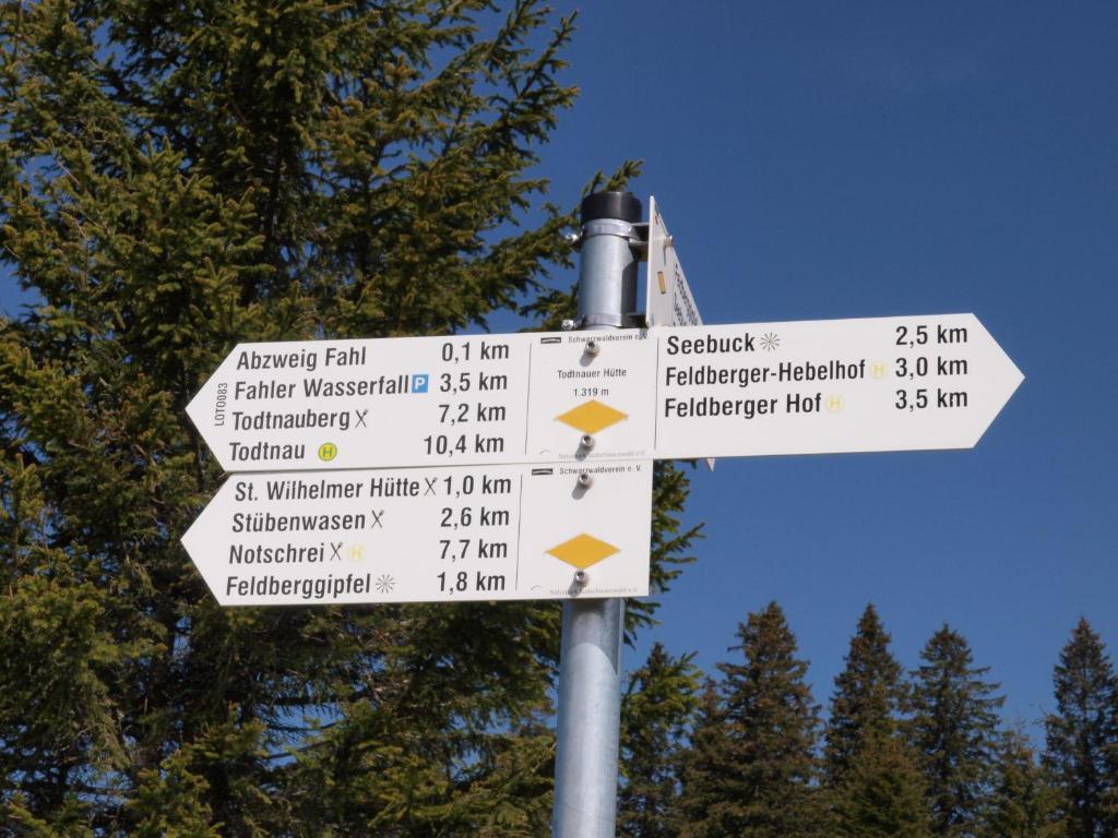 Gruener Baum Naturparkhotel & Schwarzwald-Restaurant Todtnau Eksteriør bilde
